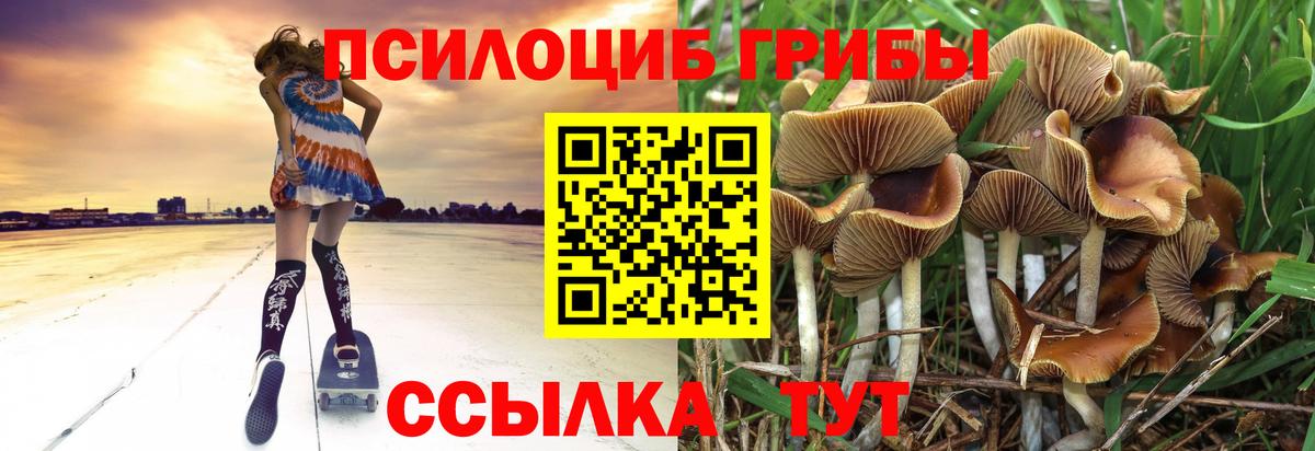 Псилоцибиновые грибы мицелий Крымск